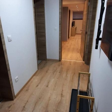 Le Cocon Des Pres Apartment Saint-Hubert Exterior foto